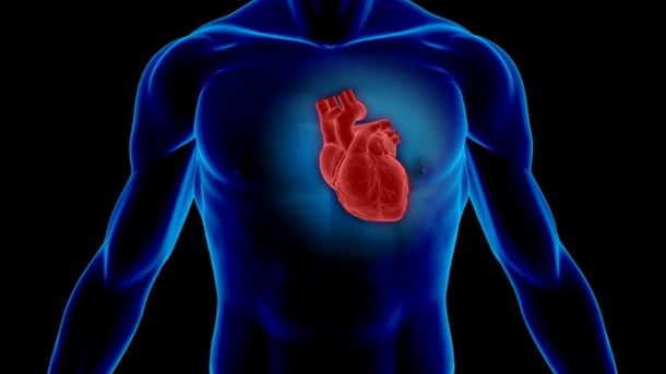 Top Picks for a Healthy Heart