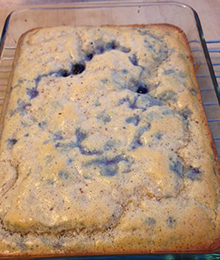 Dr. Beth's Gluten-Free Blueberry Almond Cake